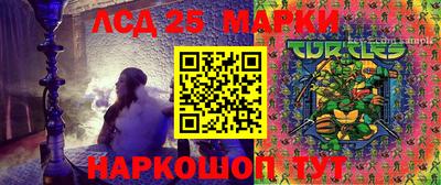 мяу мяу мука Тулун