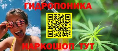 мяу мяу мука Тулун