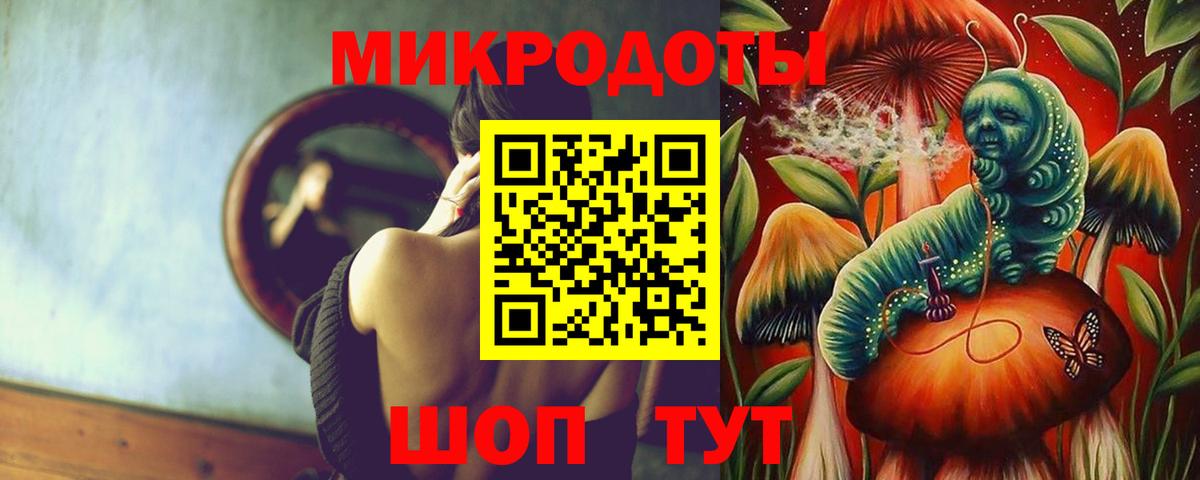 Галлюциногенные грибы Magic Shrooms Нижний Новгород
